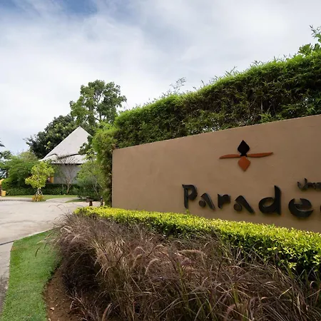 Paradee (Adults Only)-2
